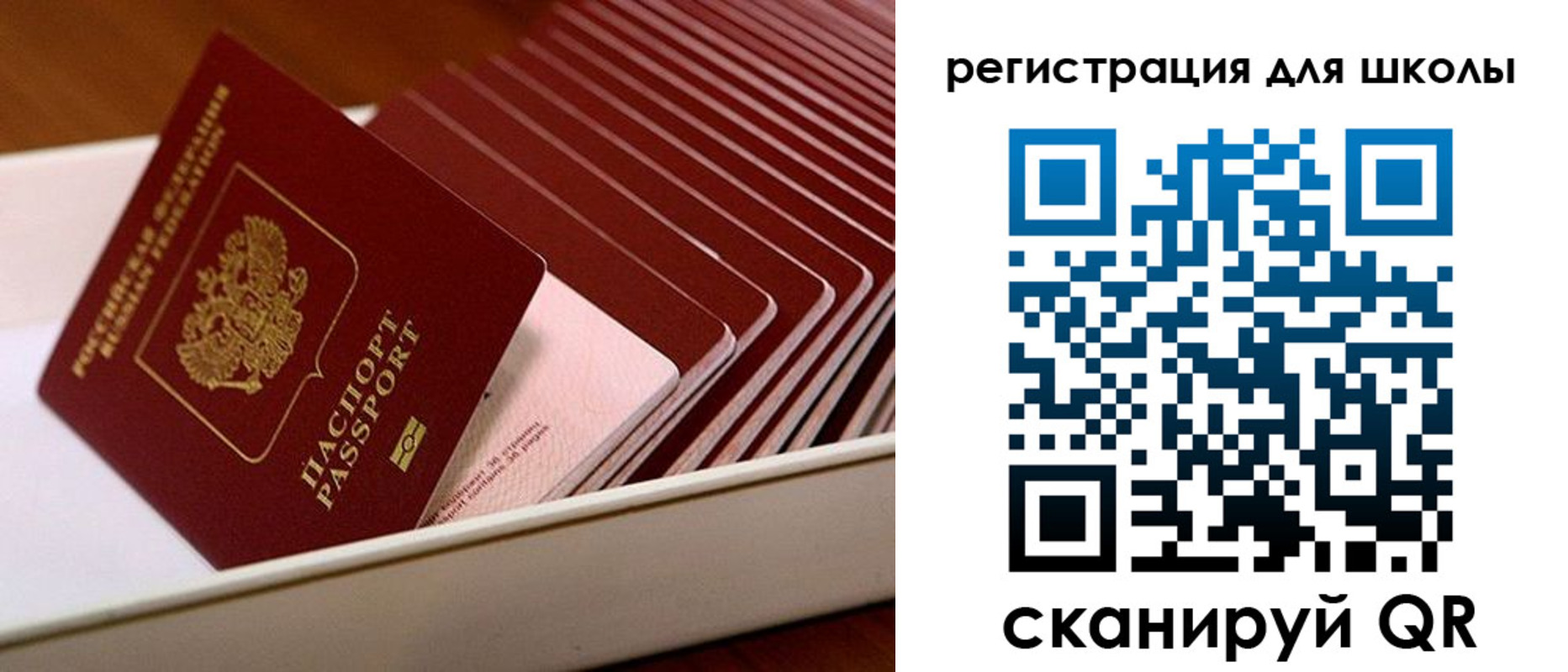 прописка гарантия в Десногорске